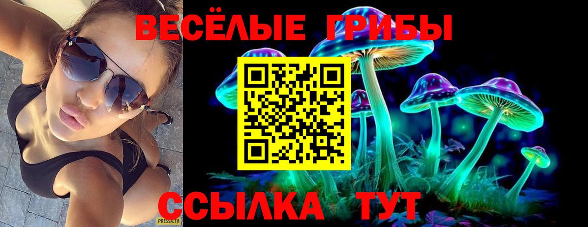 Галлюциногенные грибы Magic Shrooms Вичуга